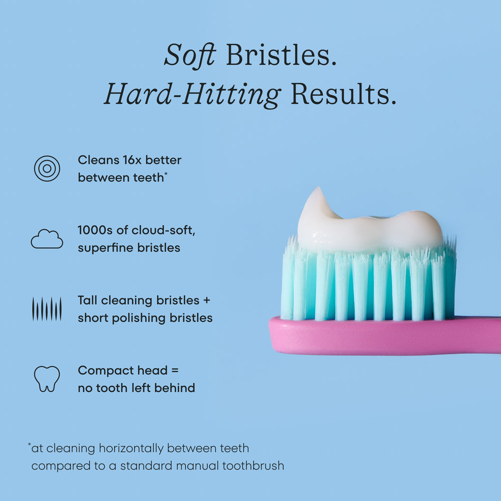 Cocobrush — 12 Pack