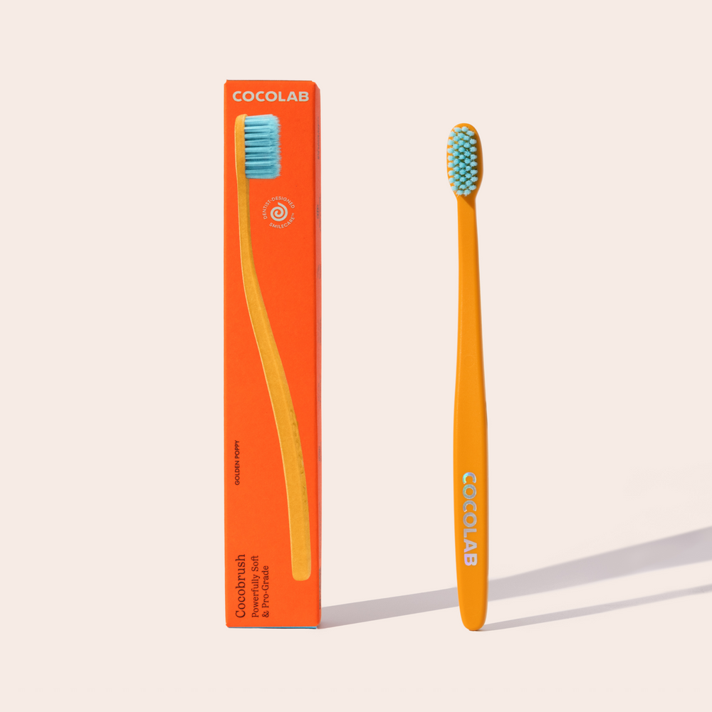 Cocobrush — 12 Pack