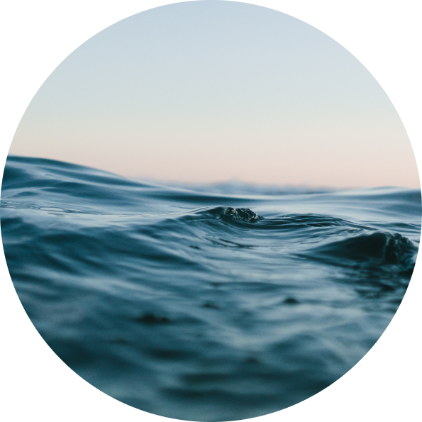 "How to Cocobrush" Postcard